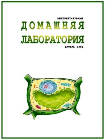 Домашняя лаборатория №4-5 (апрель-май 2025)